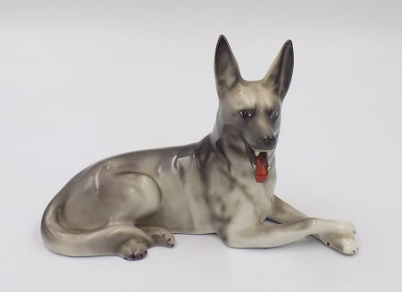 Owczarek niemiecki Wałbrzych Stary Zdrój