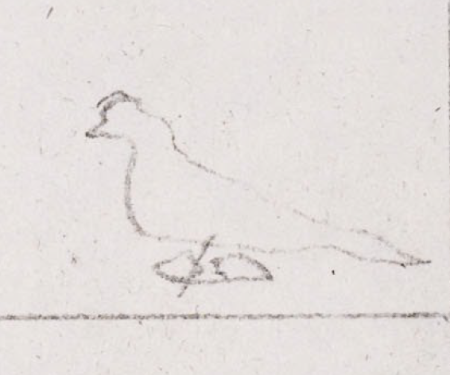 Wzór  120 - Figurka Gołąb