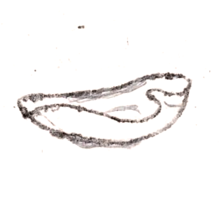 Wzór  204 - Popielnica