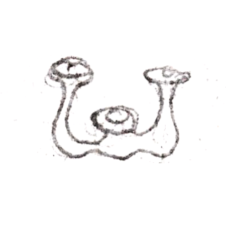 Wzór  239 - Świecznik