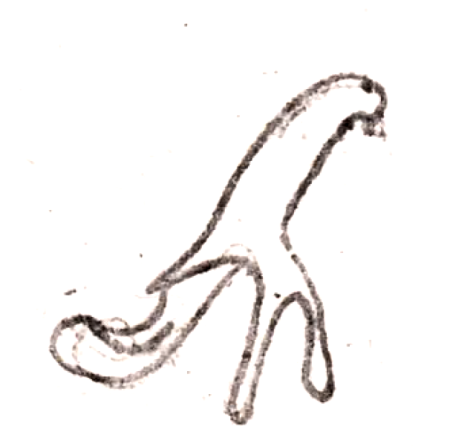 Wzór  260 - Figurka Papużka