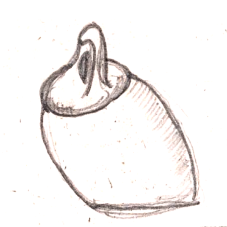 Wzór  309 - Bomboniera