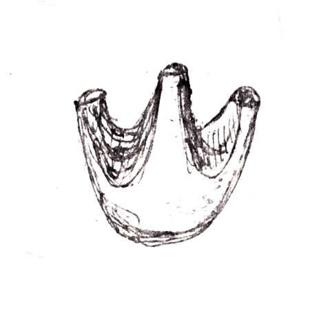 Wzór  542 - Wazon rogaty