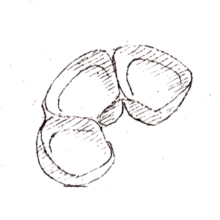 Wzór  605 - Naczynie do przystawek