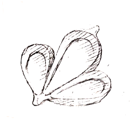 Wzór  606 - Naczynie do przystawek