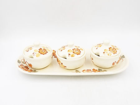 Fajans WŁOCŁAWEK zestaw do przypraw