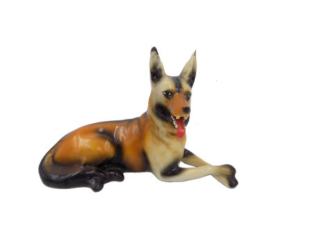 Owczarek niemiecki Wałbrzych Stary Zdrój 1952+