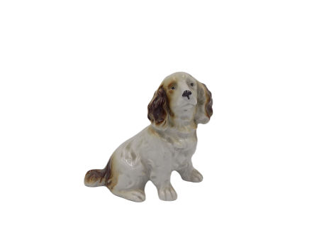 Pies CAVALIER KING CHARLES SPANIEL rasy psów