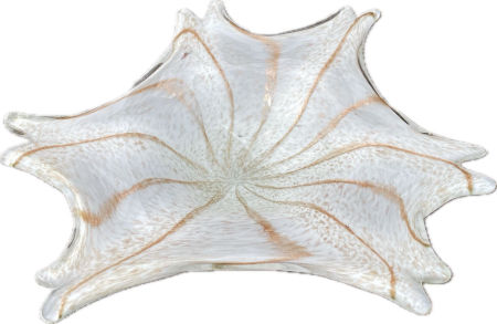 Półmisek Ameba szkło artystyczne Murano Glass