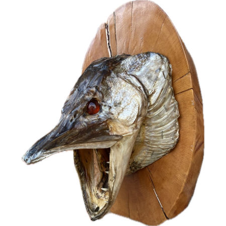 Szczupak dekoracja ścienna PRL